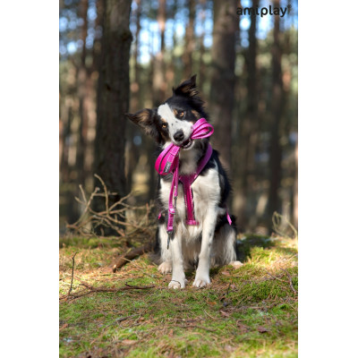 AMIPLAY SMYCZ 6in1 REFLECTIVE XL 1-2m CZARNY