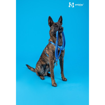 AMIPLAY SMYCZ 6in1 REFLECTIVE XL 1-2m CZARNY