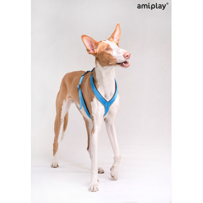 AMIPLAY SZELKI REGULOWANE REFLECTIVE M CZARNY