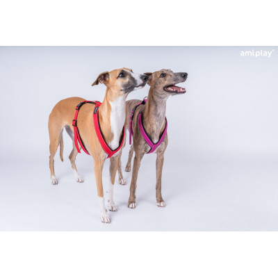AMIPLAY SZELKI REGULOWANE REFLECTIVE XL CZARNY