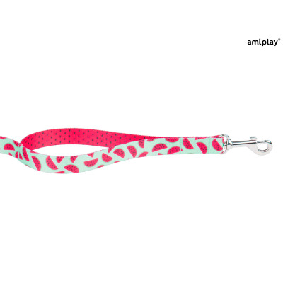 AMIPLAY SMYCZ BE HAPPY L 150cm WATERMELON