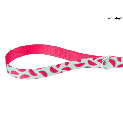 AMIPLAY SMYCZ BE HAPPY L 150cm WATERMELON