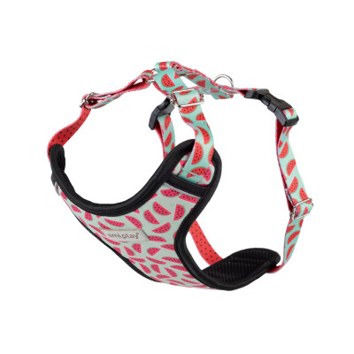 AMIPLAY SZELKI DISCOVERY BEHAPPY XL WATERMELON