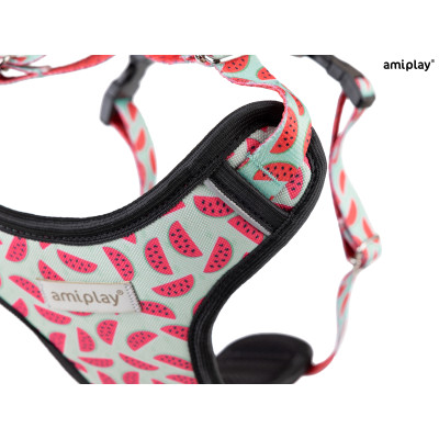 AMIPLAY SZELKI DISCOVERY BEHAPPY L WATERMELON