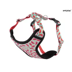 AMIPLAY SZELKI DISCOVERY BEHAPPY XXL WATERMELON