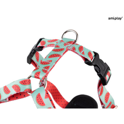 AMIPLAY SZELKI DISCOVERY BEHAPPY S WATERMELON
