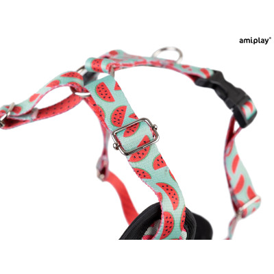 AMIPLAY SZELKI DISCOVERY BEHAPPY XL WATERMELON