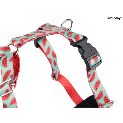 AMIPLAY SZELKI DISCOVERY BEHAPPY XL WATERMELON
