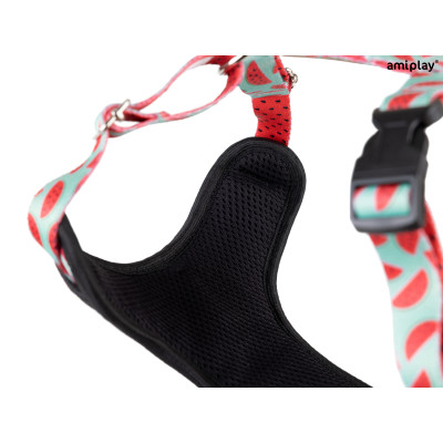 AMIPLAY SZELKI DISCOVERY BEHAPPY XL WATERMELON