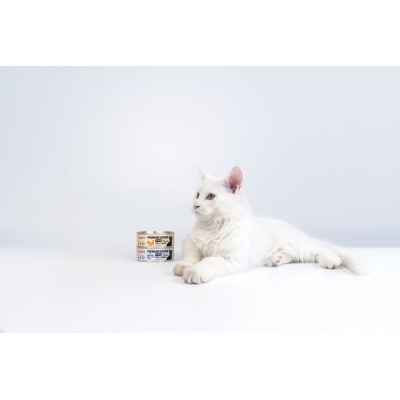 COMFY APPETIT PREMIUM MOUSSE KITTEN PSTRĄG 85G