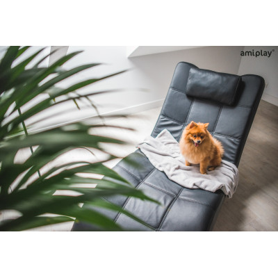 AMIPLAY BRĄZOWY KOCYK DLA PSA SCANDI XL