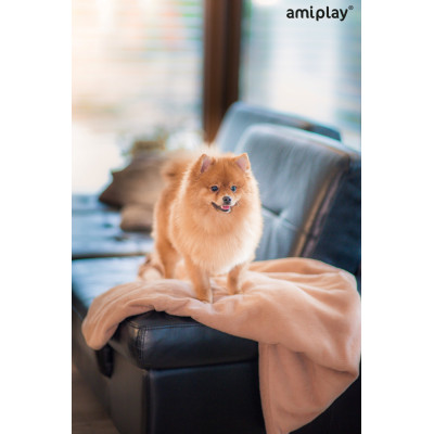AMIPLAY BRĄZOWY KOCYK DLA PSA SCANDI XL
