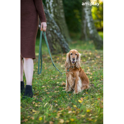 AMIPLAY BEŻOWA PRZEPINANA SMYCZ DLA ŚREDNIEGO PSA 6IN1 COTTON M 1-2M
