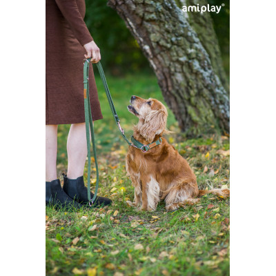 AMIPLAY BEŻOWA PRZEPINANA SMYCZ DLA ŚREDNIEGO PSA 6IN1 COTTON M 1-2M