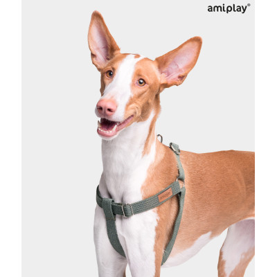 AMIPLAY CZERWONE REGULOWANE SZELKI DLA MAŁEGO PSA COTTON S