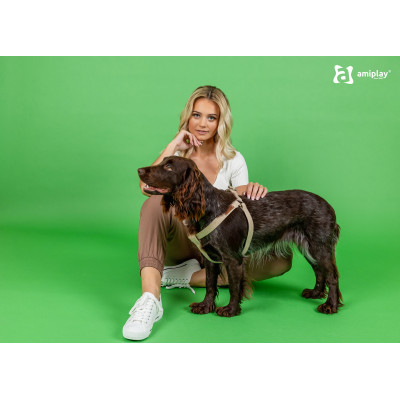 AMIPLAY BEŻOWE REGULOWANE SZELKI DLA ŚREDNIEGO PSA COTTON M