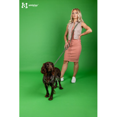 AMIPLAY CZERWONE REGULOWANE SZELKI DLA DUŻEGO PSA COTTON L