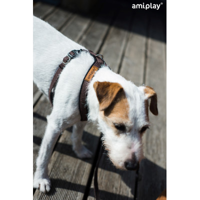 AMIPLAY CZERWONE REGULOWANE SZELKI DLA DUŻEGO PSA GRAND SOFT COTTON L