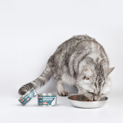 COMFY APPETIT PREMIUM MOUSSE STERILIZED TUŃCZYK 24X150G