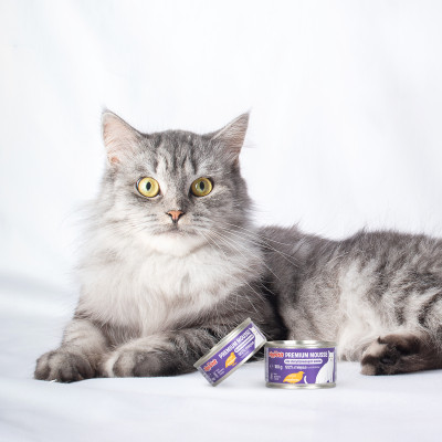 COMFY APPETIT PREMIUM MOUSSE STERILIZED PRZEPIÓRKA 6X150G