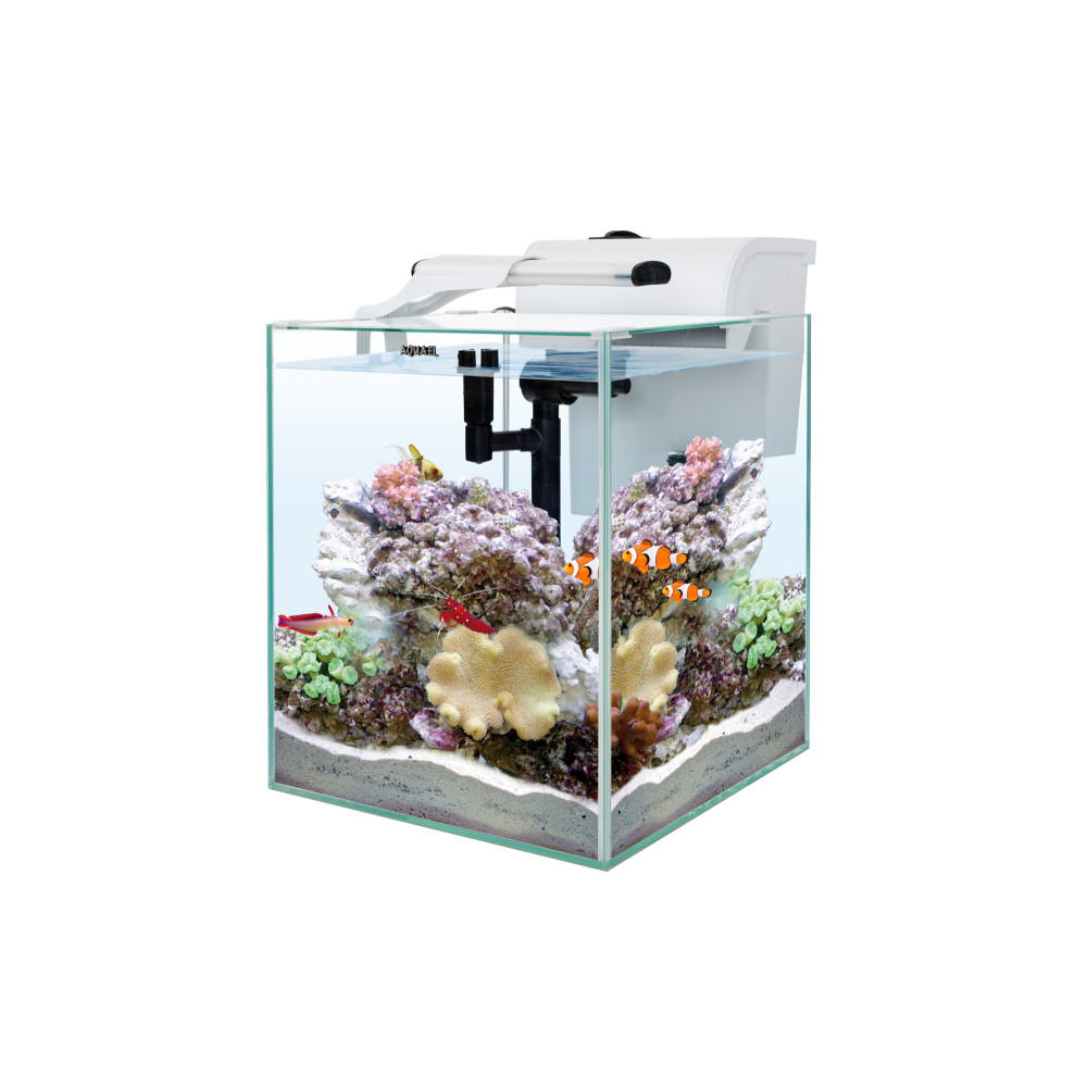 AQUAEL ZESTAW NANO REEF DUO BIAŁY 35 2.0 AQUAEL ZESTAW NANO REEF DUO BIAŁY 35 2.0