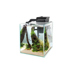 AQUAEL ZESTAW FISH&SHRIMP DUO CZARNY 35 D&N 2.0