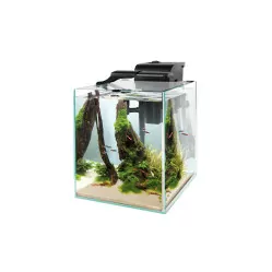 AQUAEL ZESTAW FISH&SHRIMP DUO CZARNY 35 D&N 2.0