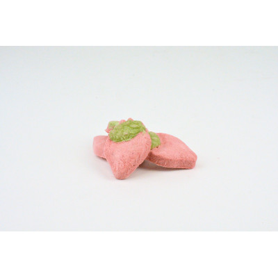 HAVE A PET FREEZE DRIED PIES KRÓLIK TRUSKAWA 16G