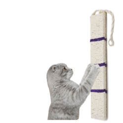 HAVE A PET DRAPAK SAM WISZĄCY FIOLETOWY 49 cm