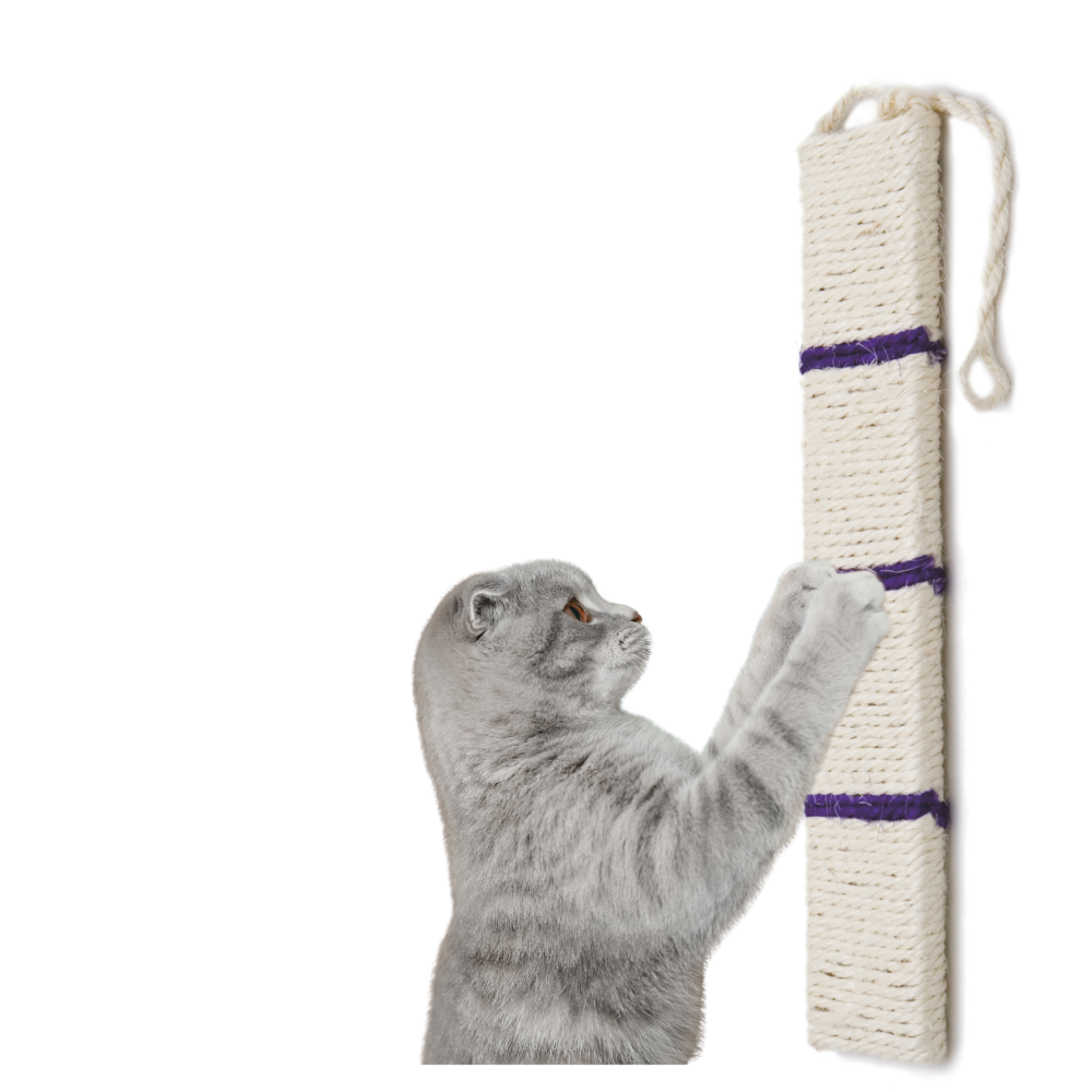 HAVE A PET DRAPAK SAM WISZĄCY FIOLETOWY 49 cm HAVE A PET DRAPAK SAM WISZĄCY FIOLETOWY 49 cm