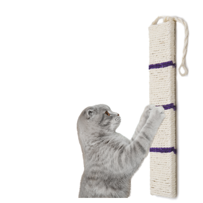 HAVE A PET DRAPAK SAM WISZĄCY FIOLETOWY 49 cm