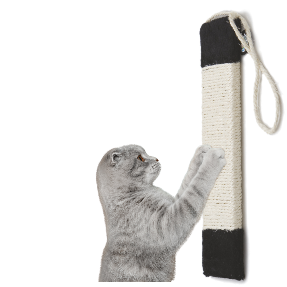 HAVE A PET DRAPAK SAM WISZĄCY CZARNY 49 cm