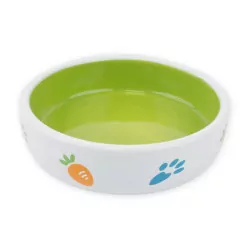 HAVE A PET MISKA CERAMICZNA DLA GRYZONI ZIELONA