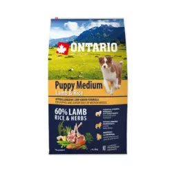 ONTARIO PUPPY MEDIUM LAMB & RICE 6.5KG