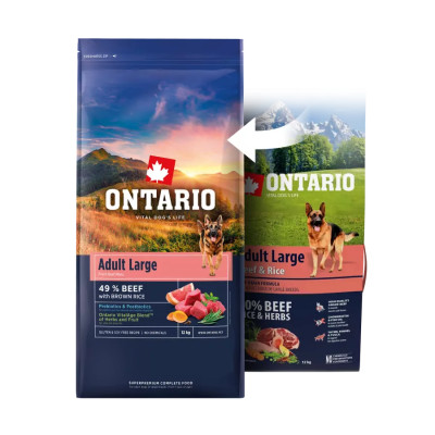 ONTARIO ADULT LARGE BEEF & RICE 12KG