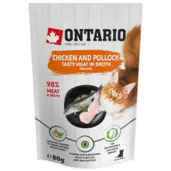 ONTARIO CAT KURCZAK I MINTAJ W ROSOLE 80G