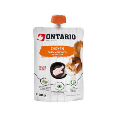 ONTARIO CAT CHICKEN TASTY MEAT PASTE 90G