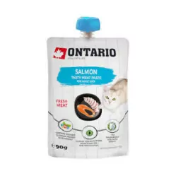 ONTARIO CAT SALMON TASTY MEAT PASTE 90G