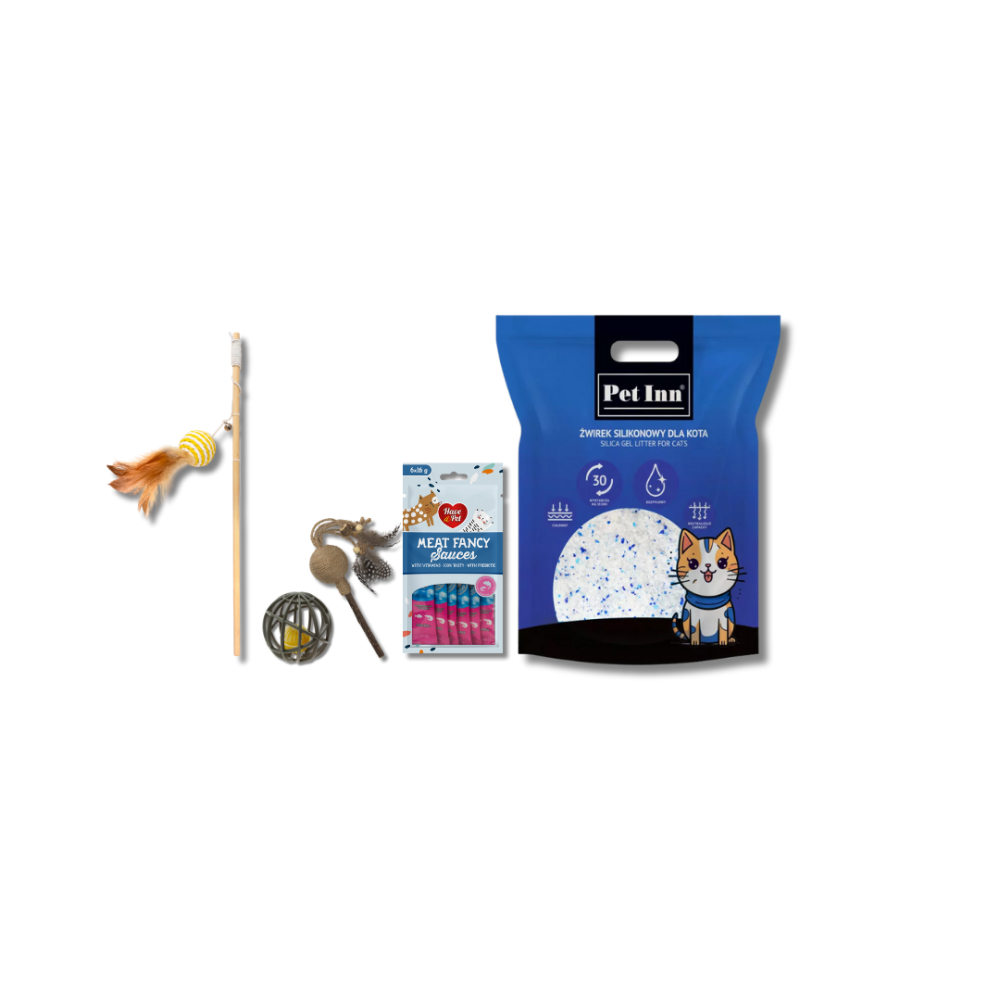 Gift Box dla Kota – 5 produktów, które mruczek pokocha