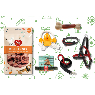 Psia Paczka Szczęścia – 7 Prezentów, Które Merda Ogonem