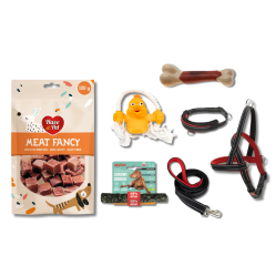 Psia Paczka Szczęścia – 7 Prezentów, Które Merda Ogonem