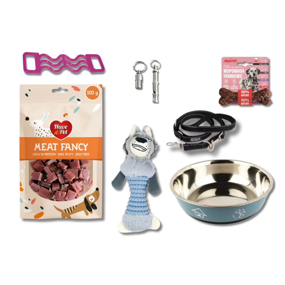 Doggie Gift Box – Zestaw 7 Upominków dla Twojego Pupila