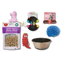 Psia Skrzynia Skarbów – 7 Radosnych Niespodzianek