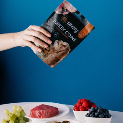 SAVORY JERKY DOG PUPPIES TURKEY 100G