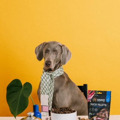 SAVORY JERKY ADULT DOG DUCK 100G