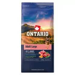 ONTARIO ADULT LARGE WOŁOWINA 12 KG