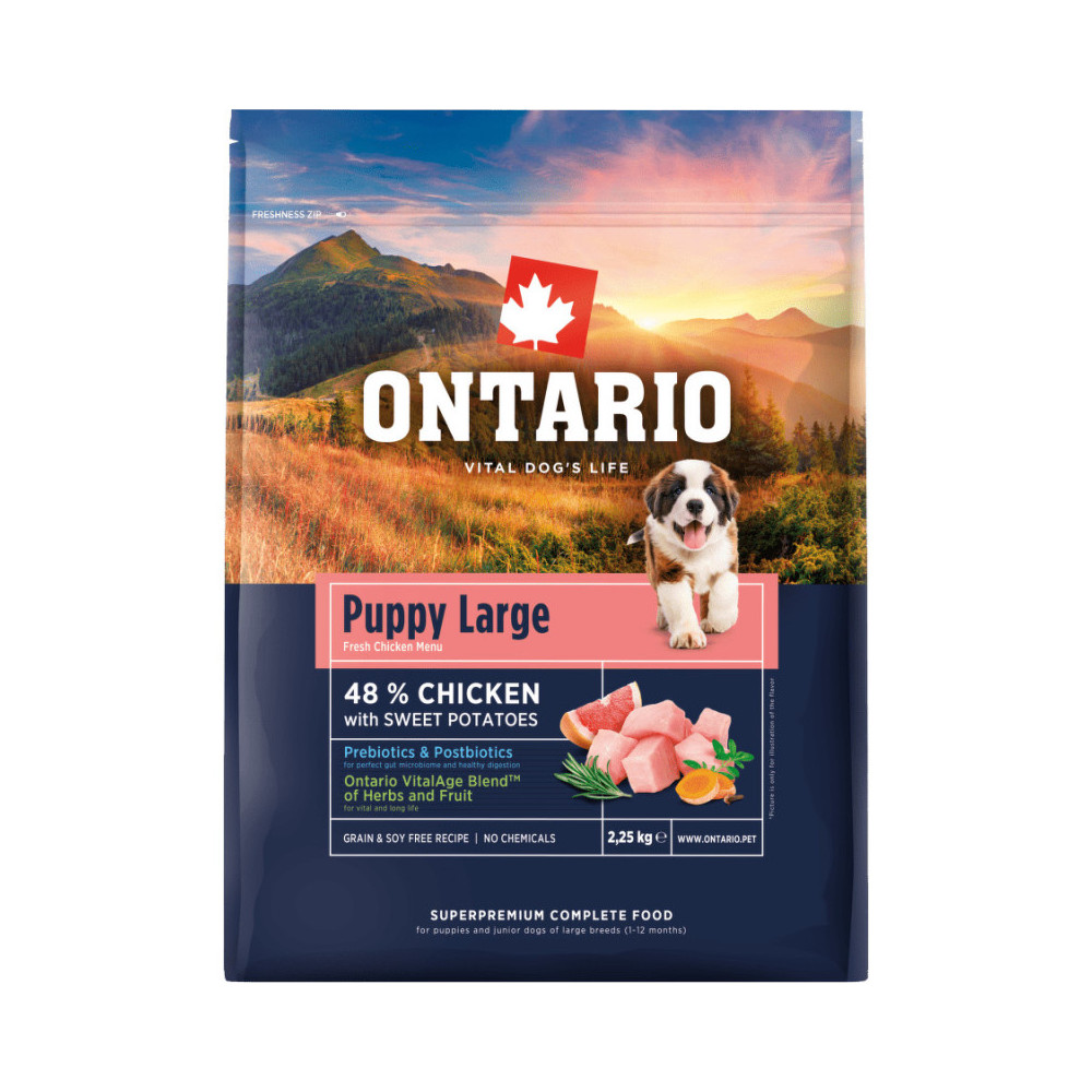 ONTARIO PUPPY & JUNIOR LARGE KURCZAK 2,25 KG