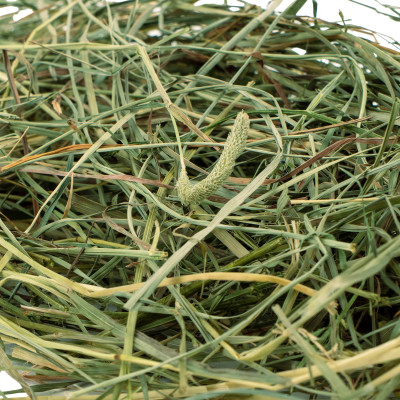 COMFY SIANKO Z TYMOTKĄ 350G