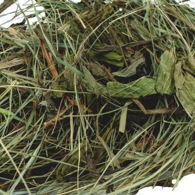 COMFY SIANKO Z BABKĄ LANCETOWATĄ 700G