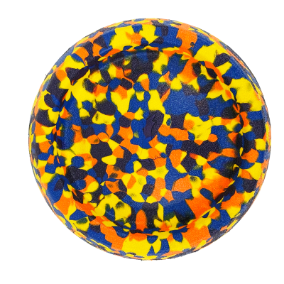 HAVE A PET ZABAWKA DYSK 21 CM